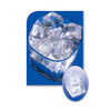 Manitowoc IDT-0420W-161 - 330 lbs Cube Ice Maker - Water Cooled