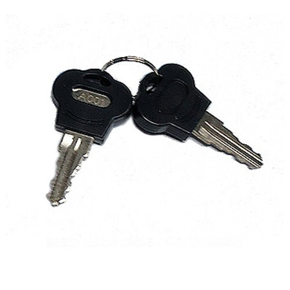 Image of the True 932992 replacement key set