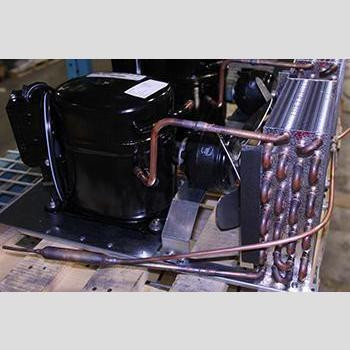 True 825972- Tecumseh AJA7494ZXD - Compressor | Prima Supply