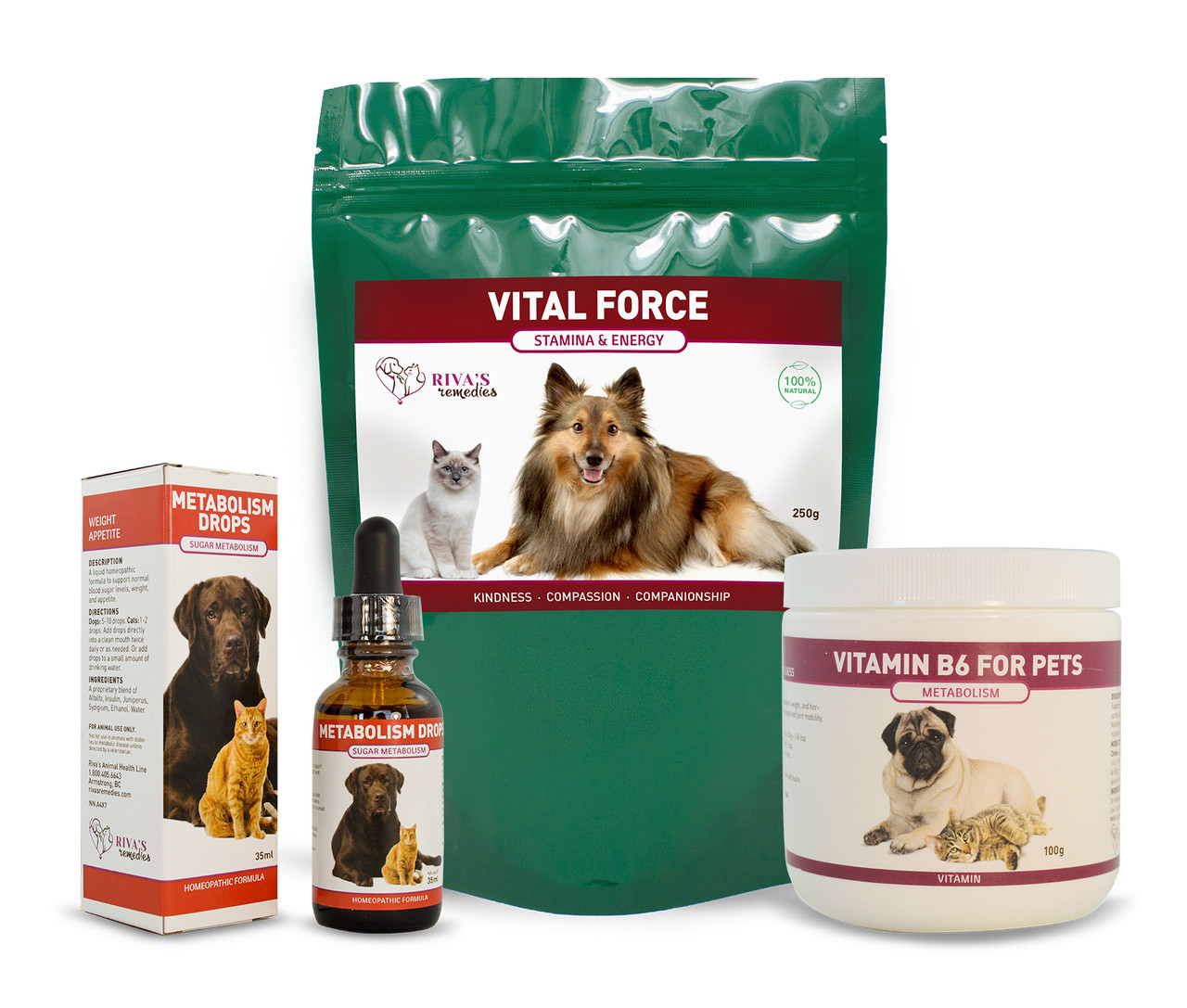 Diabetes Mellitus Normal Blood Sugar For Cats High Blood Sugar In