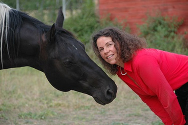 Eclipse  -  Adventurer, Guardian, & Spiritual Warrior Eclipse  -  Adventurer, Guardian, & Spiritual Warrior