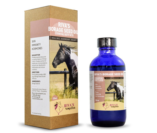 Riva's Borage Oil for horses