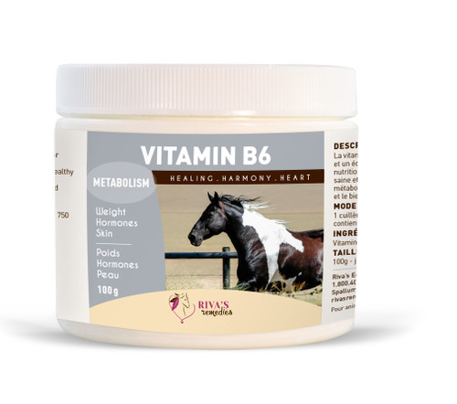 Vitamin B6  100g