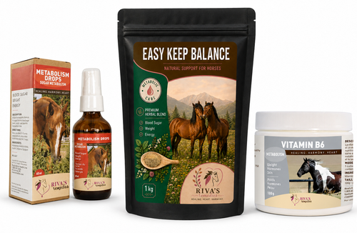 *Insulin Resistance Bundle Special