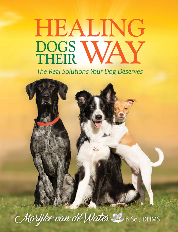 Your dog needs you to read this book