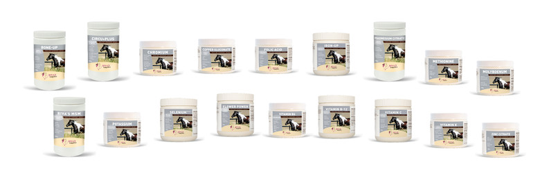 Guidelines To Feeding Supplements: Horses