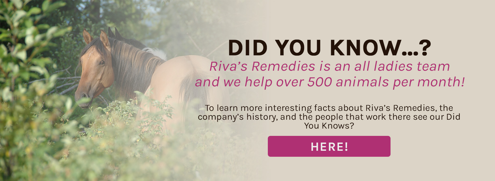 Did you know about Rivas Remedies