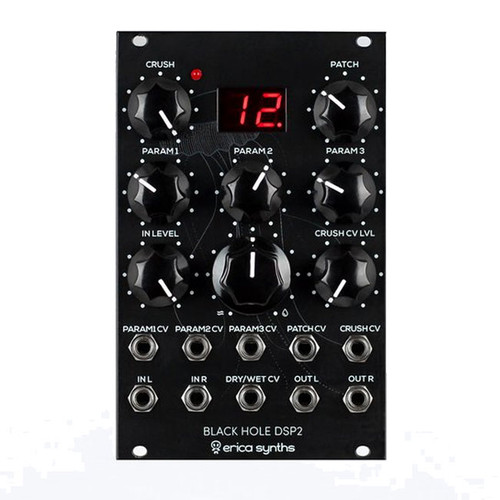 Erica Synths Black Hole DSP2 - Stereo Effects Processor