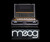 Moog ATA Road Case for Minimoog Model D