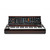 Moog Minimoog Model D Reissue 2023
