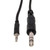 Hosa CMS-105 - 3.5 mm TRS to 1/4" TRS Stereo Interconnect Cable 5 ft