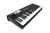 Waldorf Blofeld Keyboard (Black) (Open Box)