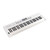 Roland GO:KEYS 5 (White) - Music Creation Keyboard