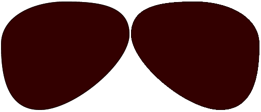 1.60 Hi Index Polarized Dark Brown Traditional Single Vision