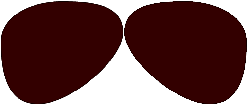 Plastic Polarized Dark Brown Autograph Spectrum Single Vision