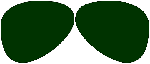 Polycarbonate Polarized Dark Green Physio DRx Progressive No Line Lenses