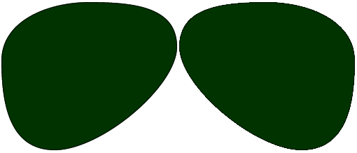 Polycarbonate Polarized Dark Green Shamir Intelligence Progressive No Line Lenses