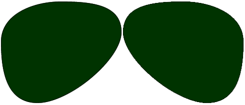 1.67 Hi Index Polarized Dark Green Physio DRx Progressive No Line Lenses