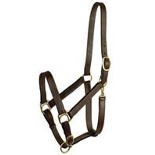 Gatsby Leather Company-Stable Halter With Snap- Havanna Brown Large Horse