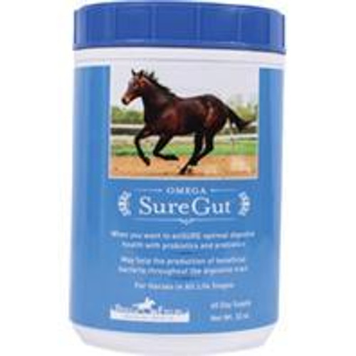 Omega Fields D-Omega Proventum Horse Supplement 32 Ounce