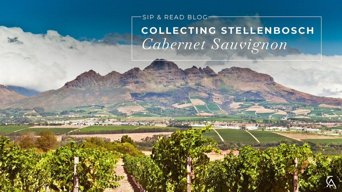 Why Serious Cabernet Collectors Are Paying Attention to Stellenbosch