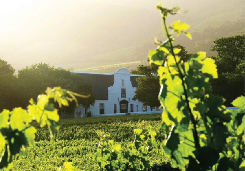 Constantia