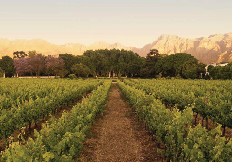 Paarl