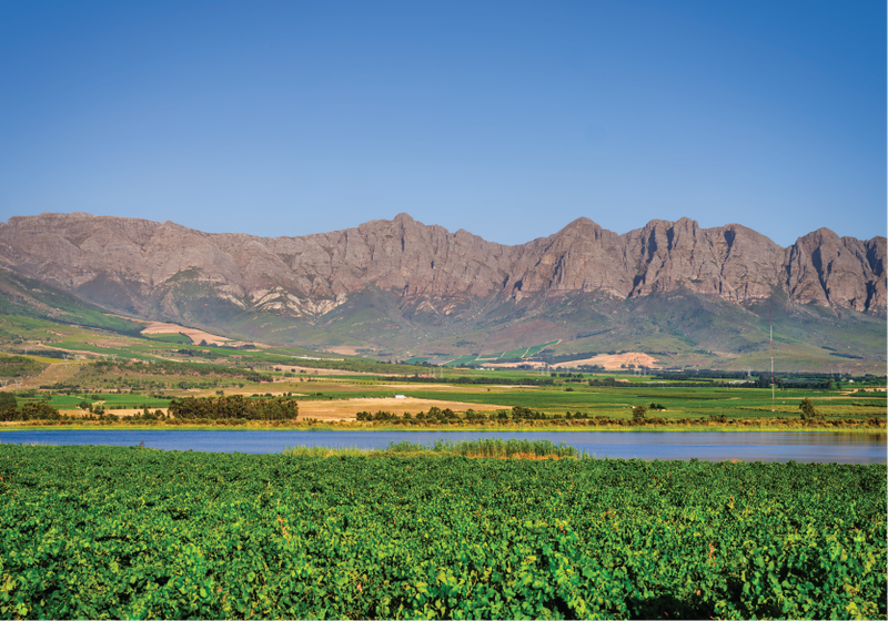 Tulbagh