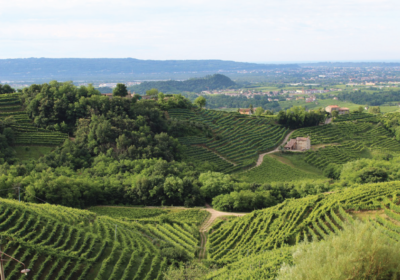 Italy (Other)