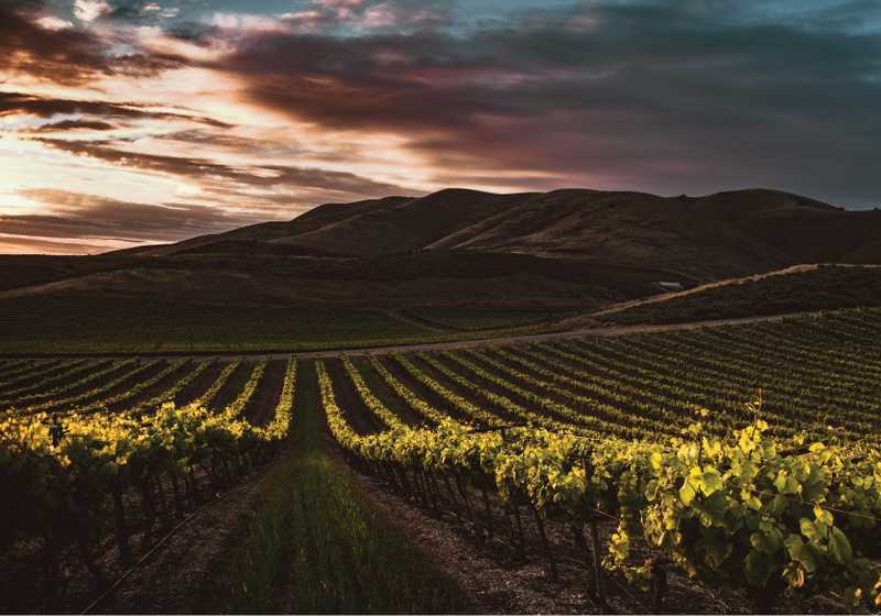 South Africa