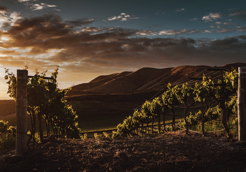 Hawke's Bay