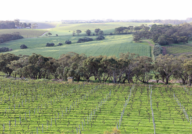 McLaren Valley