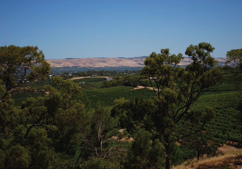Hunter Valley, Australia
