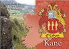 Kane  Coat of Arms Irish Family Name Fridge Magnets Set of 2