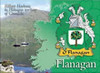 Flanagan  Coat of Arms Irish Family Name Fridge Magnets Set of 2