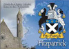Fitzpatrick  Coat of Arms Irish Family Name Fridge Magnets Set of 2