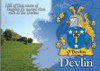 Devlin Coat of Arms Irish Family Name Fridge Magnets Set of 2