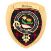 Buchan Clan Crest Tartan 10 x 12 Woodcarver Wooden Wall Plaque 