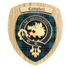 Campbell Of Argyll Clan Crest Tartan 10 x 12 Woodcarver Wooden Wall Plaque 