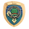 Irvine Clan Crest Tartan 10 x 12 Woodcarver Wooden Wall Plaque 