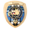 Thomson Clan Crest Tartan 10 x 12 Woodcarver Wooden Wall Plaque 