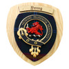 Young Clan Crest Tartan 10 x 12 Woodcarver Wooden Wall Plaque 