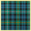 Campbell Of Argyll Ancient Tartan 10oz Reiver Wool Fabric Lightweight Casual Mens Kilt