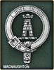 MacNaughton Clan Badge Polished Sterling Silver MacNaughton Clan Crest