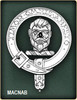 MacNab Clan Badge Polished Sterling Silver MacNab Clan Crest