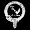 Iain Badge Polished Sterling Silver Iain Crest