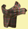 Leitrim County Irish Tartan Lambswool Unisex Fringed Scarf Leitrim County Irish Tartan Lambswool Unisex Fringed Scarf
