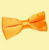 Fluorescent Orange Mens Plain Satin Bow Tie Wedding Necktie