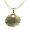 Cockle Shell No Pearl Snake Chain Small 9K Yellow Gold Pendant