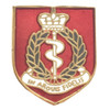 Royal Army Medical Corps British Military Shield Enamel Badge Lapel Pin Set x 3